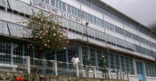 Dambatenna Tea Factory